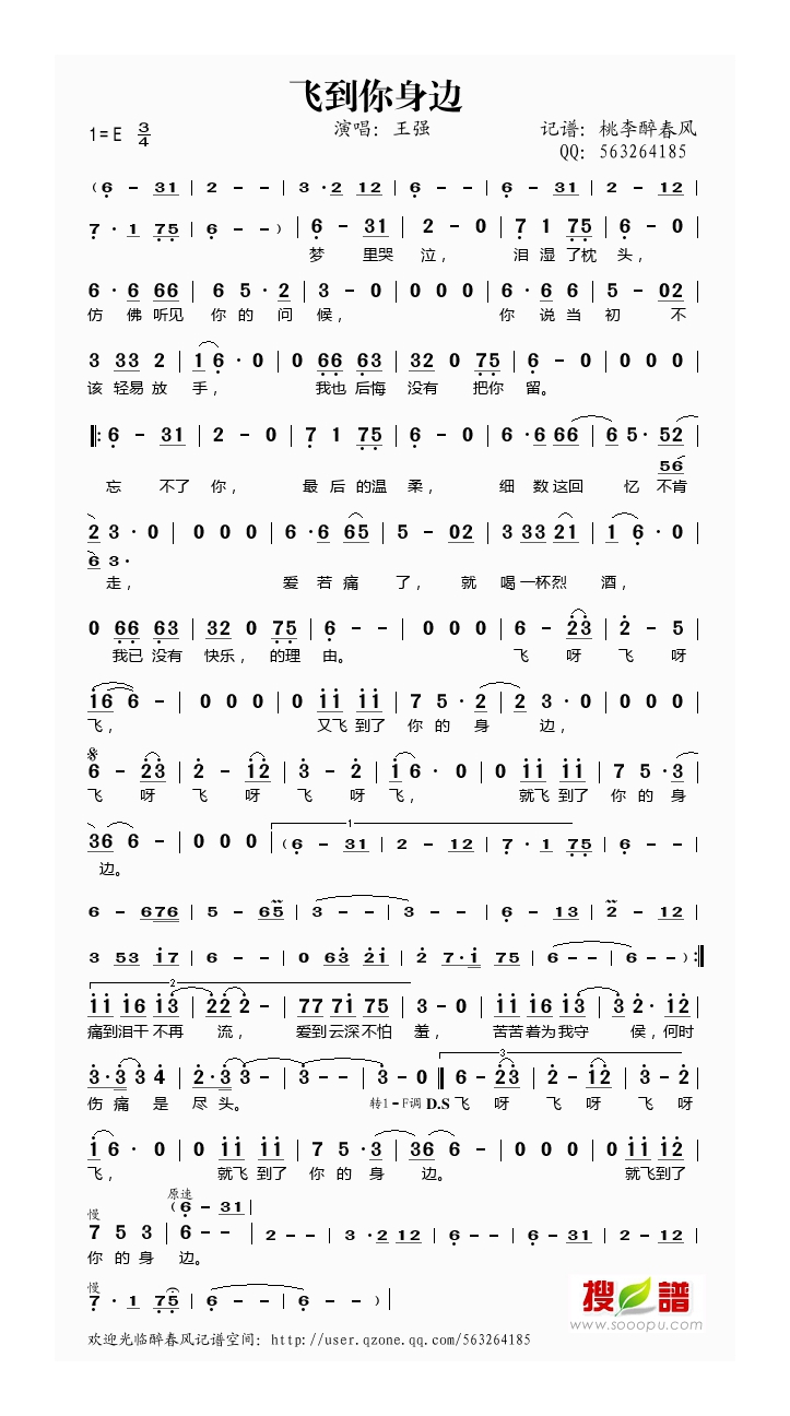 王强-飞到你身边