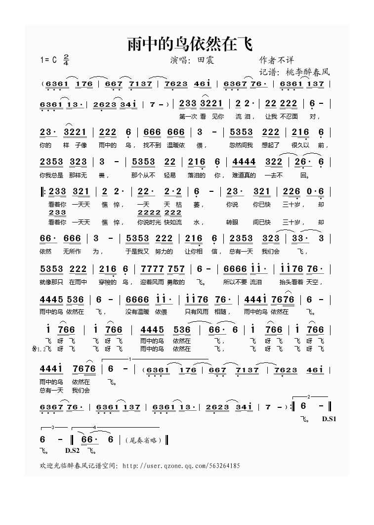 田震-雨中的鸟依然在飞