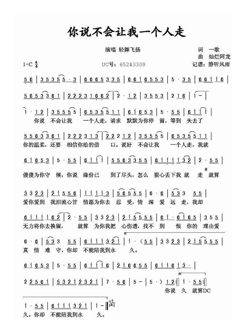 轻舞飞扬-你说不会让我一个人走