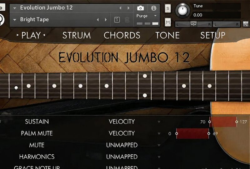12弦原声吉他音色 Orange Tree Samples Evolution Jumbo 12 v1.2.5