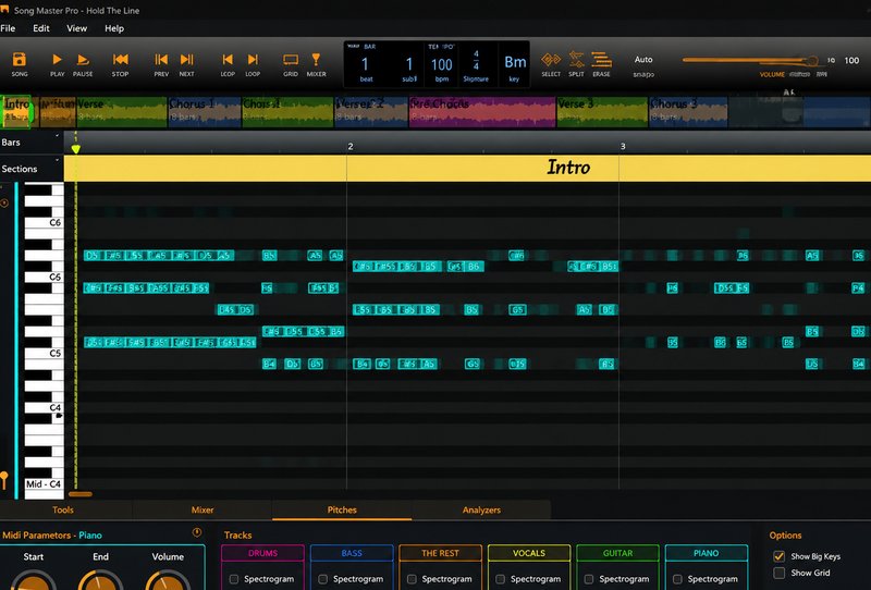 歌曲扒带分析软件 AurallySound Song Master Pro v2.7.04 MOCHA Win (Aurally Sound)