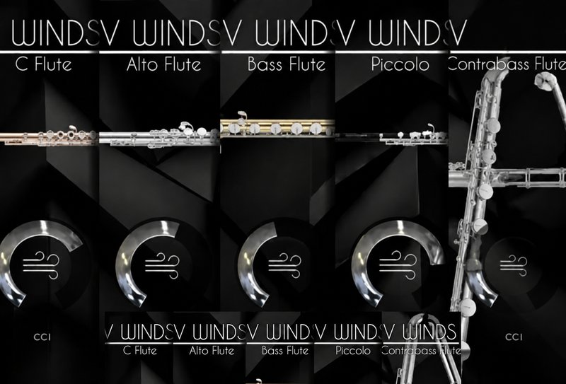 长笛音源 Acousticsamples VWinds Flutes