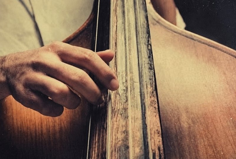 黑胶低音提琴 Past to Future Reverbs Vinyl Double Bass