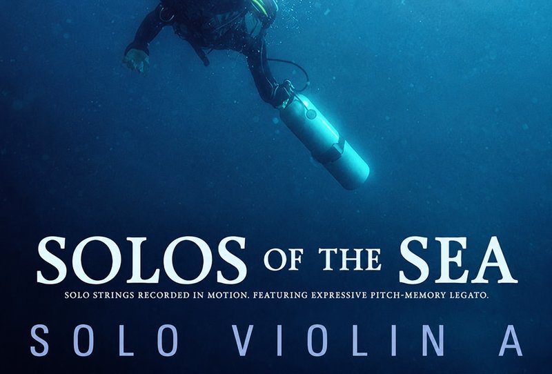 独奏小提琴A Performance Samples Solos of the Sea Solo Violin A