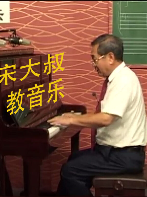 宋大叔教音乐 完整版