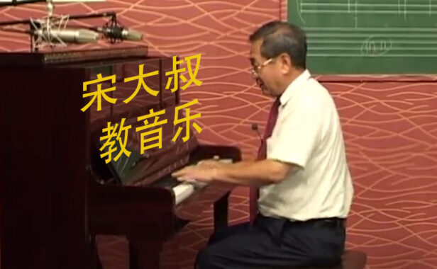 宋大叔教音乐 完整版