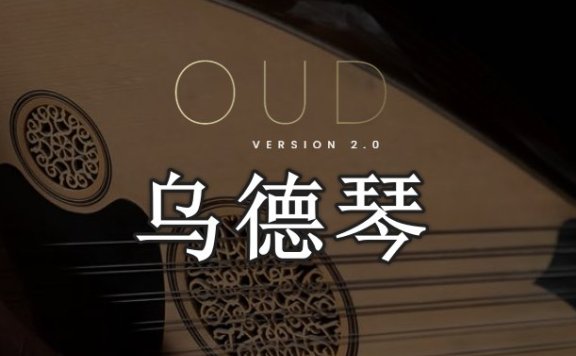 乌德琴 Evolution Series World Strings Oud