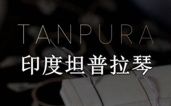 印度坦普拉琴 Evolution Series World Strings Tanpura v1.0.0