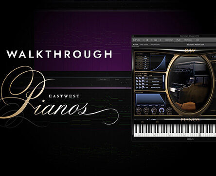 斯坦威大钢琴 East West Pianos Platinum Steinway D