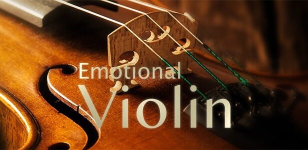 情感小提琴 Best Service Emotional Violin