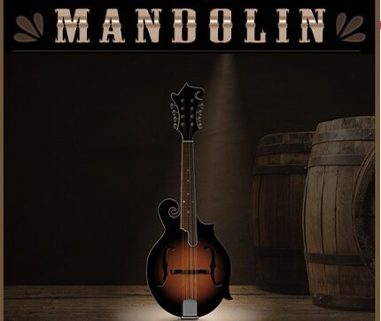 曼陀铃吉他音色 Indiginus The Mandolin