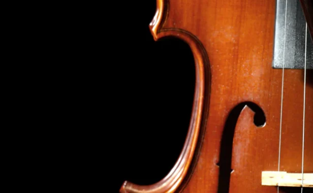 深情独奏小提琴 8Dio Studio Quartet Series Deep Solo Violin