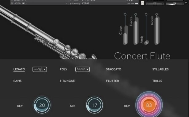 音乐会长笛 Auddict Daniela Mars Concert Flute