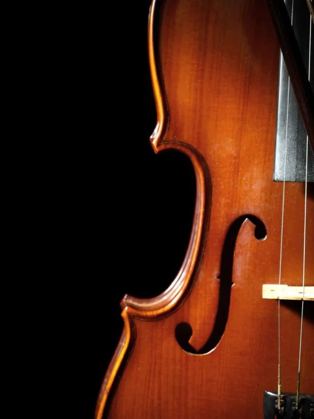 深情独奏小提琴 8Dio Studio Quartet Series Deep Solo Violin