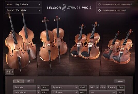 现代弦乐合奏音色 Native Instruments Session Strings Pro 2 v1.0.5