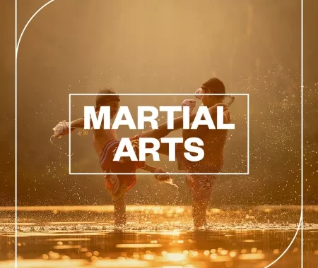 武打音效包 Blastwave FX Martial Arts WAV