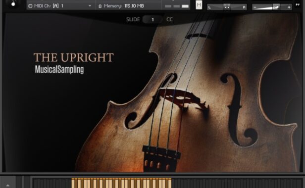 原声贝斯音色库 Musical Sampling The Upright