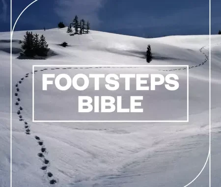 脚步声音效包 Blastwave FX Footsteps Bible WAV