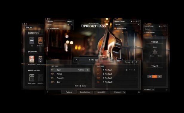 立式原声贝司 Native Instruments Session Bassist Upright Bass