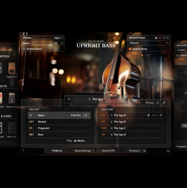 立式原声贝司 Native Instruments Session Bassist Upright Bass