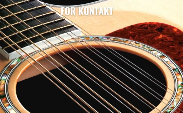 12弦原声吉他 Past to Future Reverbs 12 String Arpeggio Guitar