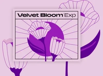 拓展音色包 Native Instruments Velvet Bloom Maschine Expansion
