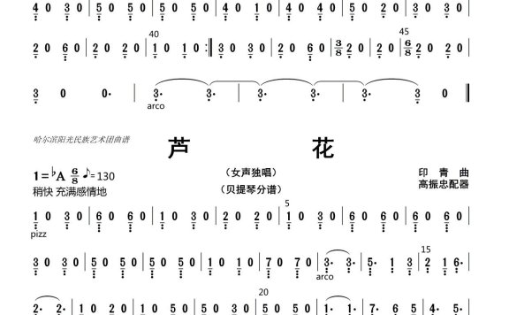芦花（大提琴、贝提琴分谱）简谱 - 乐谱