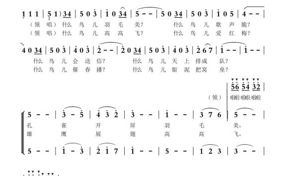 什么鸟（童声合唱）简谱 - 乐谱