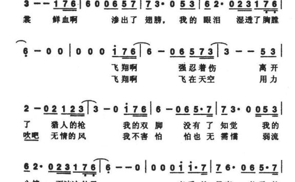 伍佰:《白鸽》简谱 - 乐谱