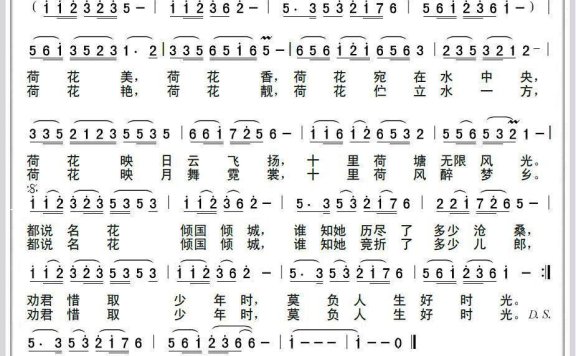 殷钰演唱：倾国倾城（真理的儿子 词曲） - 乐谱