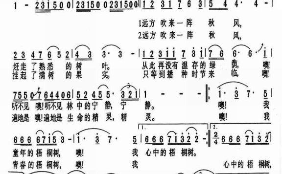 梧桐树 - 乐谱