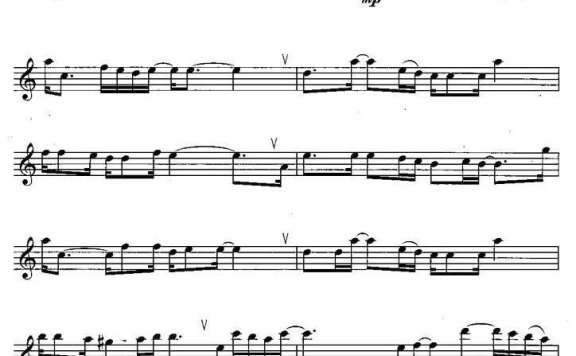 张振宇演唱:情人节快乐 - 乐谱