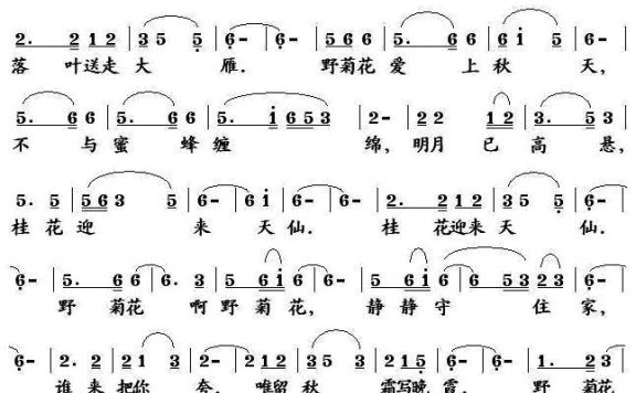 野菊花（蔡佳倩词 李正中曲） - 乐谱