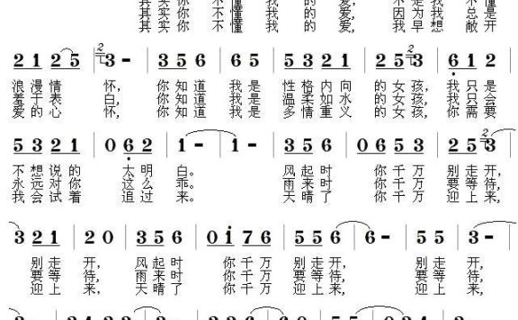 其实你不懂我的爱（郑连叶曲 仇荣祥、汪满词） - 乐谱