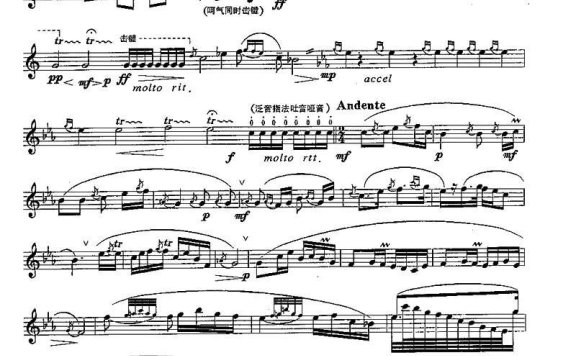 长笛八级考级曲谱(第三部分) - 乐谱