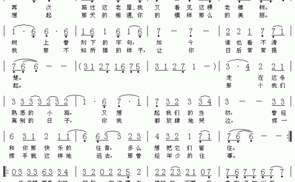 老橡树（叶纷飞曲 千山万水词） - 乐谱