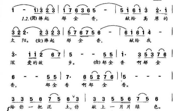 郁金香之歌（肖国全曲 冯琳词） - 乐谱