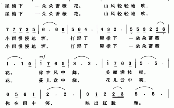 雨中的蔷薇花（肖婷曲 张咏民、郝桂明词） - 乐谱