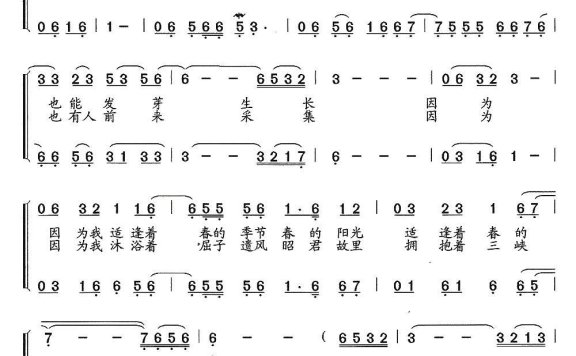 我的歌（刘不朽词 石玉泉曲） - 乐谱