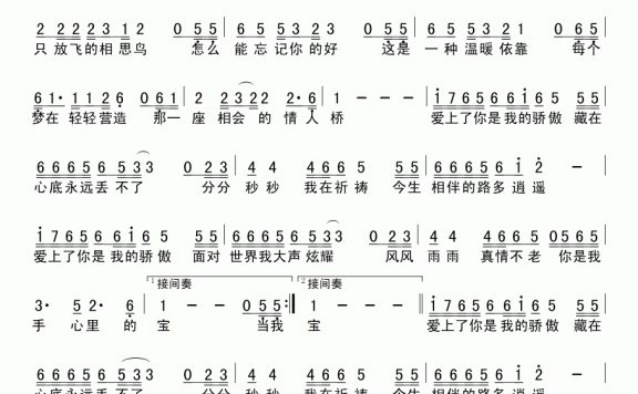 爱上你是我的骄傲(若惜曲 张宏凯词) - 乐谱