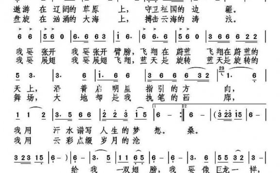 我要飞翔（蓝月词 孙向岭曲） - 乐谱