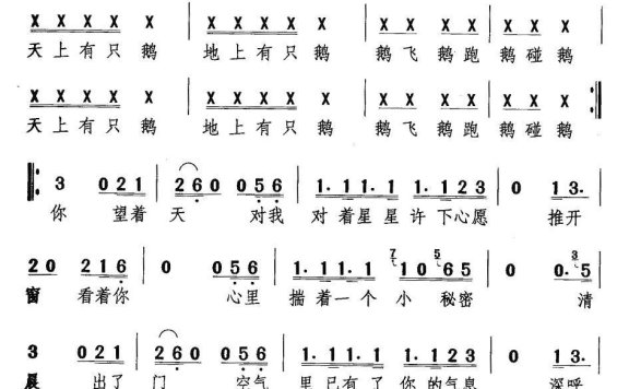 大傻鹅（刘洋词曲） - 乐谱