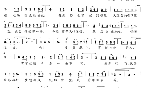 飞（李丽菲词曲） - 乐谱