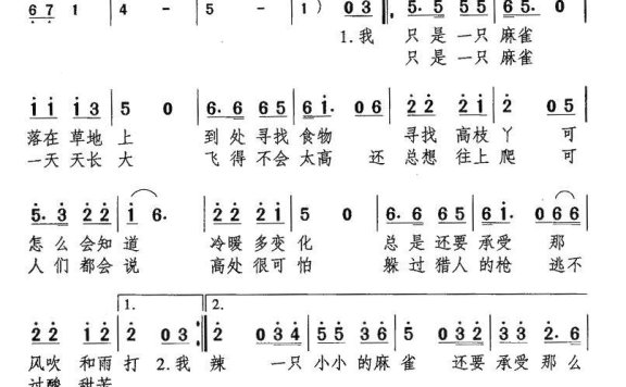 麻雀（郑志峰词曲） - 乐谱