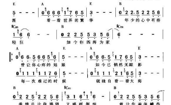曾经的你（许巍词曲唱 带和弦） - 乐谱