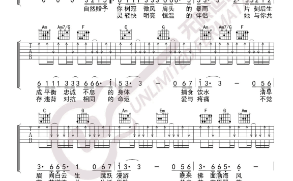 山雀（万能青年旅店演唱 C调弹唱谱） - 乐谱