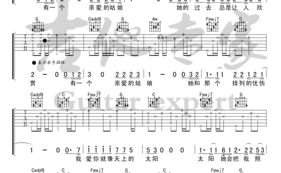 姑娘（C调指法编配 隔壁老樊演唱） - 乐谱