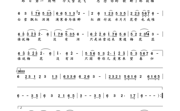 梅花泪（云菲菲演唱） - 乐谱