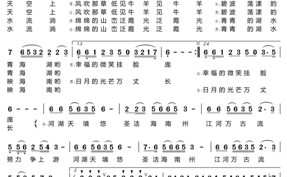 青青湖水映海南（王丽达/王传亮演唱） - 乐谱