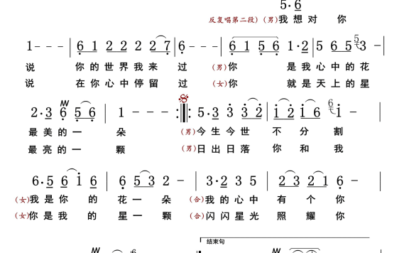我想对你说（刘海洋/小梅演唱） - 乐谱